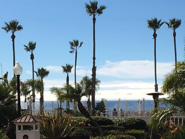 Every loan in the Photo113