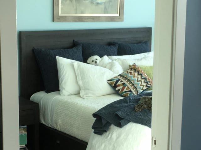 Every loan in the PhotoF