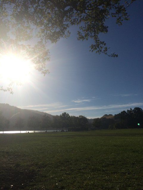 IMG 6460 1 e1584654688224