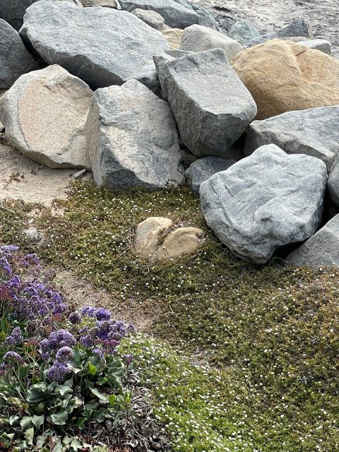 IMG 0412 e1625075351116