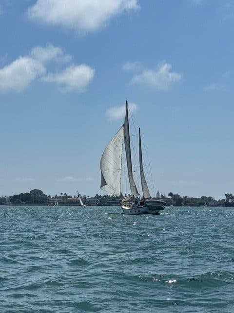 IMG 2246 e1629744215857