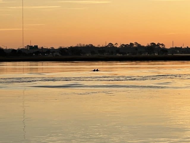 Sunrise 2