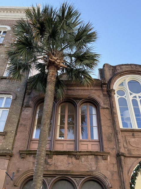 45AD6D50 8D2C 4DAA 8F34 1A89B582B54F