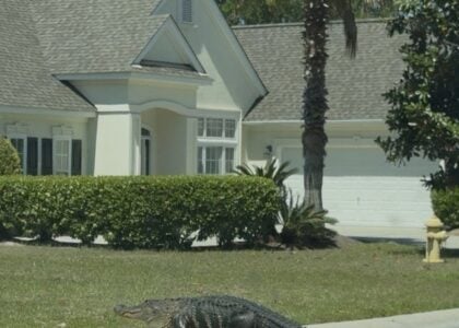 New Real Estate Strategy