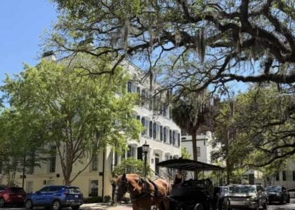 The Best DSCR Loans in South Carolina This Fall
