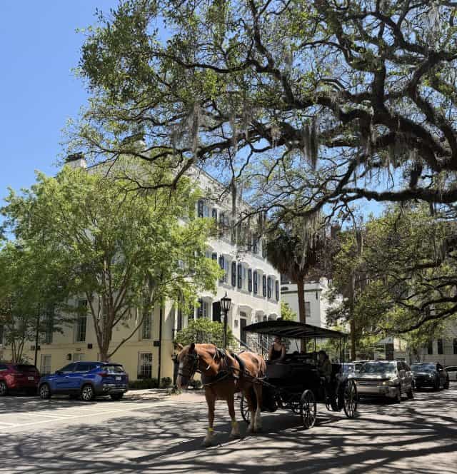 Best Commercial Loans in South Carolina This Spring