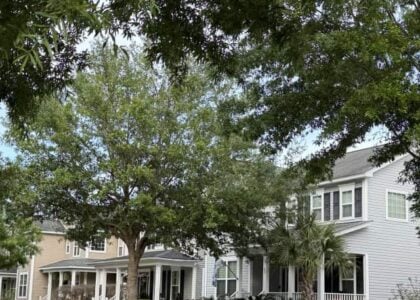 How to Get the Biggest HELOC Cash-Out in South Carolina This Year